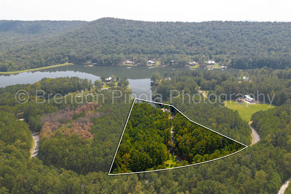 207 Saunders Bridge Cir Sterrett 004