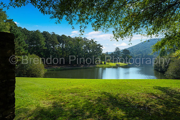 207 Saunders Bridge Cir Sterrett 085