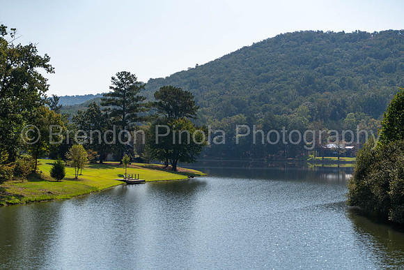 207 Saunders Bridge Cir Sterrett 093