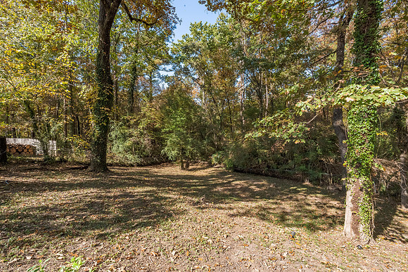 1004 Broken Bow Trail Alabaster 33